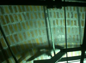 Proyek Industri Kertas 3 ~blog/2022/5/12/cimg4990